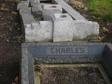 image of grave number 198823